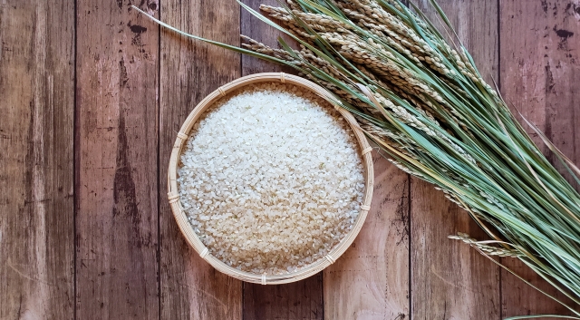 お米と稲の画像