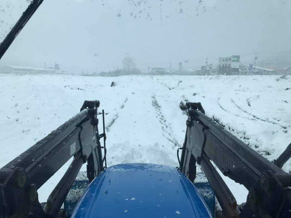 田中農場2020年積雪