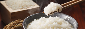 「新米」とはどういう定義のお米？