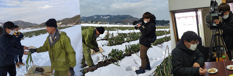 2021年1月13日日本海テレビ ニュースevery日本海に鳥取・田中農場の極寒越冬白ねぎを取材していただいている様子