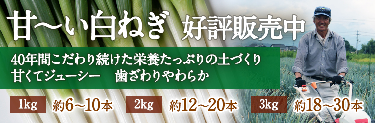 鳥取・田中農場の白ねぎ3kg（約18～30本） 甘くてジューシー 歯触り柔らかな特別栽培メインイメージ