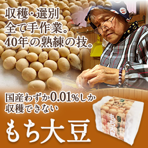 商品ページ紹介用もち大豆の写真